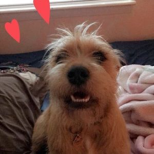 Meet your Posher, Janette